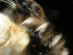 View full size picture