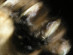 View full size picture