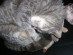 View full size picture