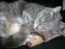 View full size picture