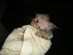 View full size picture