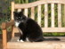 View full size picture