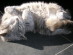 View full size picture