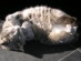View full size picture