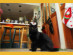 View full size picture
