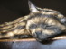 View full size picture