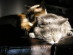 View full size picture
