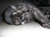 View full size picture