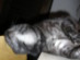 View full size picture