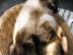 View full size picture