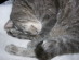 View full size picture