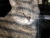 View full size picture
