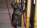 View full size picture