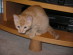 View full size picture