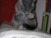 View full size picture