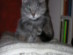 View full size picture