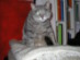 View full size picture