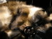 View full size picture