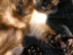 View full size picture