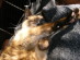 View full size picture