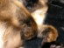 View full size picture