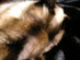 View full size picture