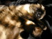 View full size picture