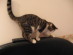 View full size picture