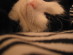 View full size picture