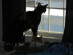 View full size picture