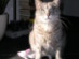 View full size picture