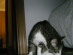 View full size picture
