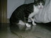 View full size picture