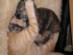 View full size picture