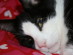 View full size picture