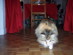 View full size picture