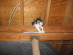 View full size picture