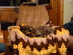 View full size picture