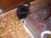 View full size picture