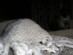 View full size picture