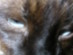View full size picture