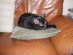 View full size picture