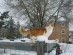 View full size picture