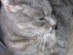 View full size picture