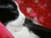 View full size picture
