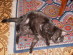 View full size picture