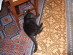 View full size picture