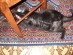 View full size picture
