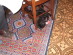 View full size picture