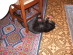 View full size picture